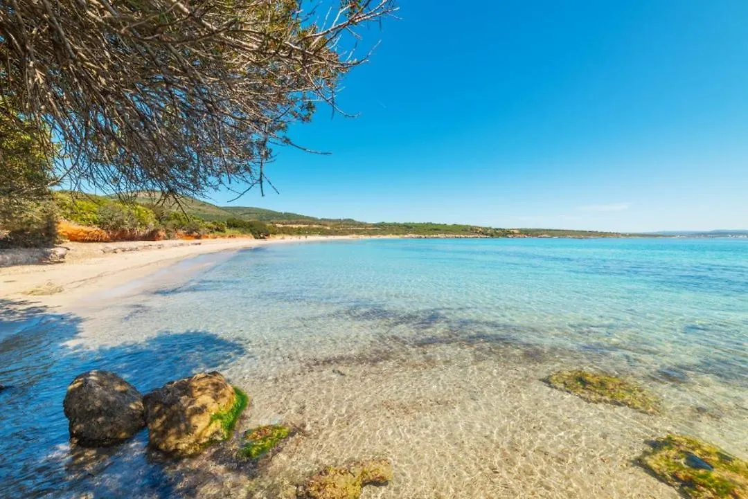 Apartamento Lo Scrigno Di Ely Alguer